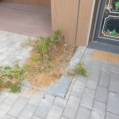 수원 화단 경계 보도블럭 포장 시공 전